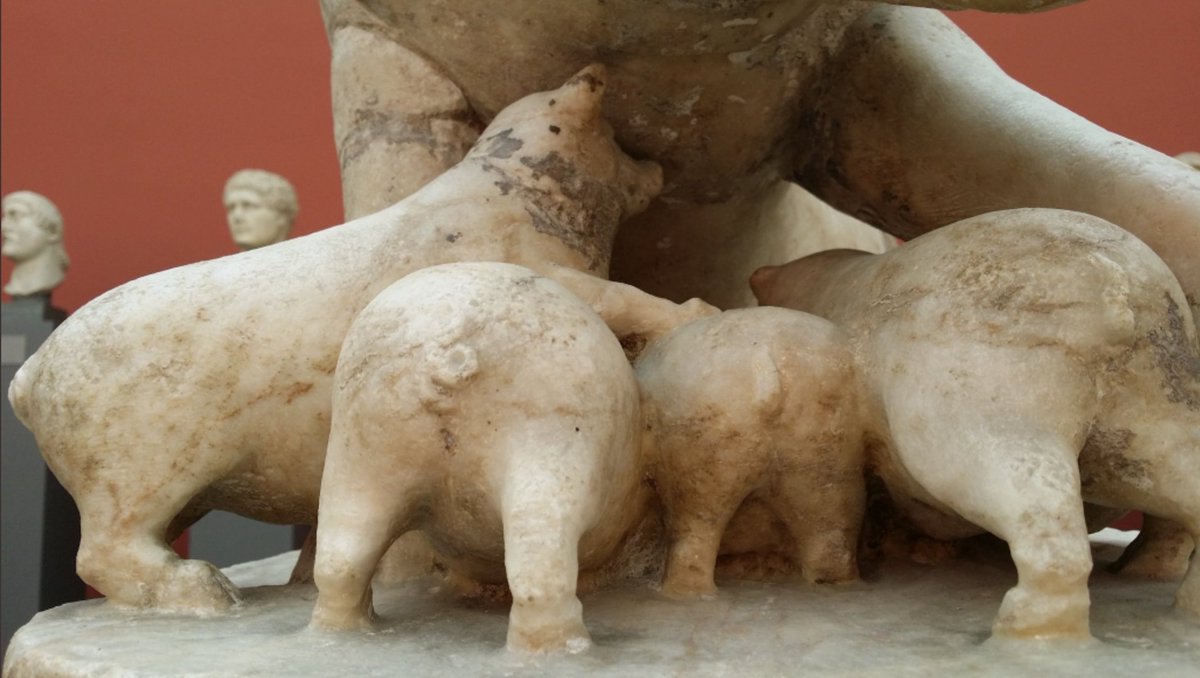 Tom Ljevar tweet media