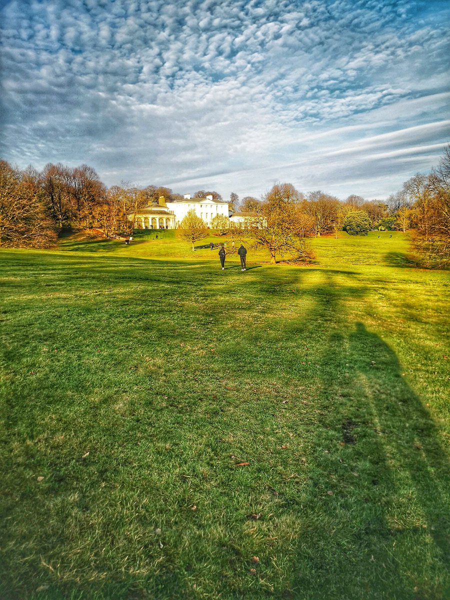MonikaParker10's tweet photo. The sun is back. Sunday walk.#sunisback #sundaywalk #Sunday #sunny #walk #festiveseason #winter #London #HampsteadHeath #heath #kenwoodhouse @EHKenwood #pond #reflections #photography #NaturePhotography https://t.co/GjyePodZdK