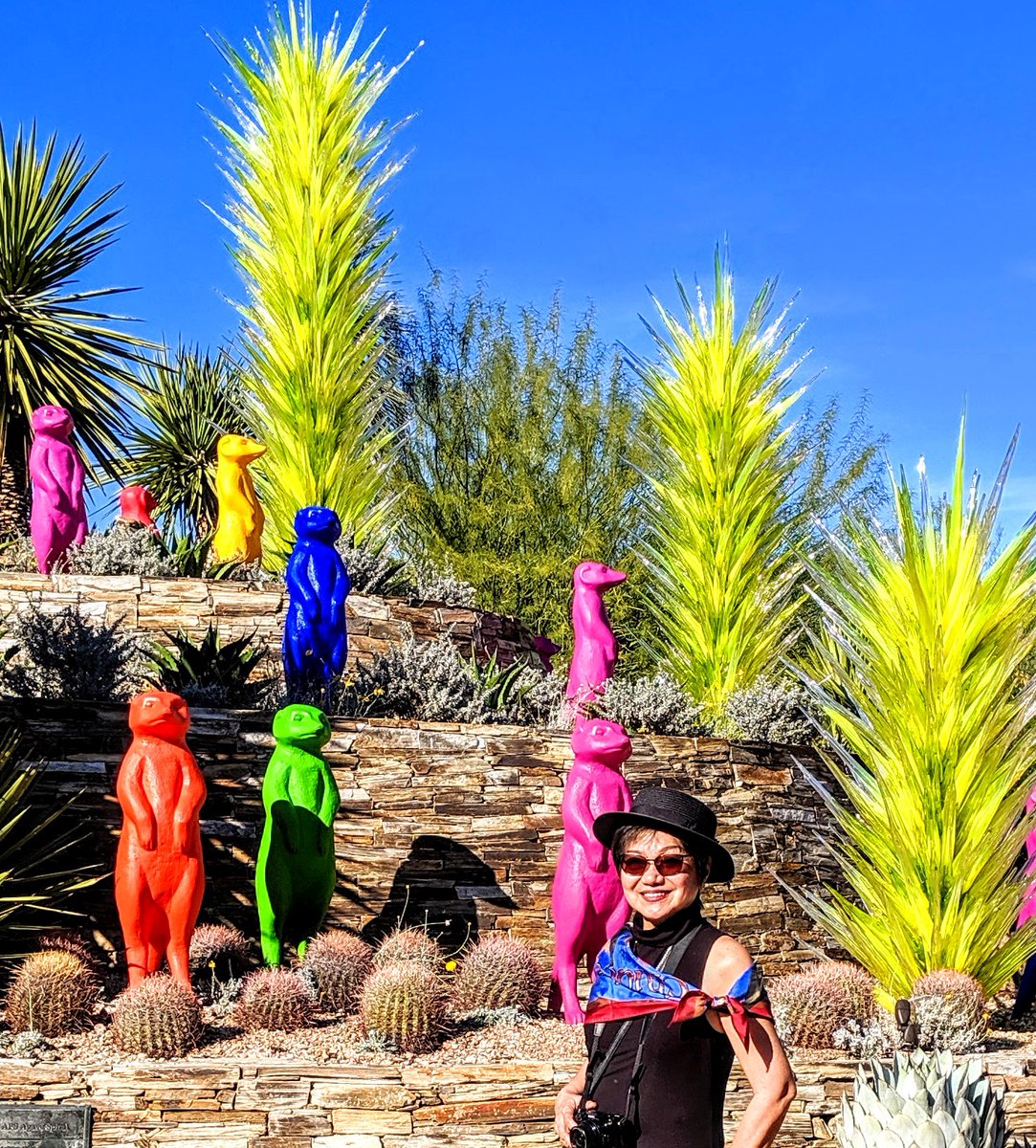 carolcruising's tweet photo. Wildlife Rising is the name of the exhibit...animals in colorful recyclable plastic at the #DesertBotanicalGarden, one of the places that make the Phoenix desert special this Season. Also the #TumbleweedTree & the #LightsoftheWorld via
@carolcruising https://t.co/gIiSiCSoHN https://t.co/ukmDqYKKA5