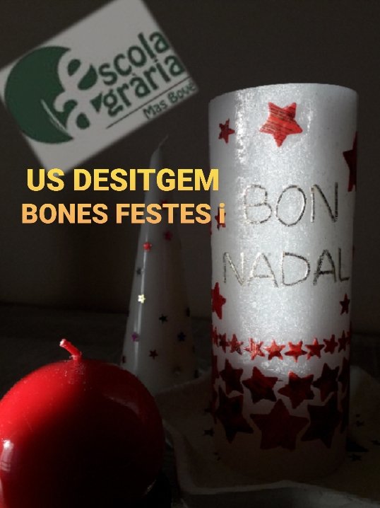 EAMasBove's tweet image. Des de @EAMasBove us desitgem un #BonNadal i un feliç any nou! 
Moltes gràcies a tot l'equip docent per la tasca de formació de l'alumnat que es desenvolupa amb cursos a distància a @ruralcat i formació presencial amb jornades #PATT2019 i cursos específics.
Bones festes! 🎄🎁