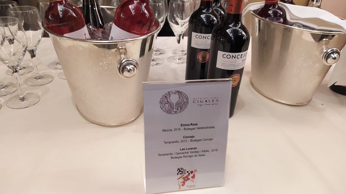 RutaVinoCigales's tweet photo. Arranca la gala del XXV Aniversario ACEVIN con presencia de @rutasvinoespana en @InterConMadrid #Felicidades #ConectaConTuRuta https://t.co/FcTL3C0omU