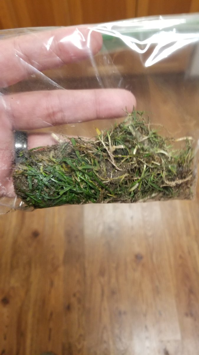 JFloe408's tweet photo. Everyone ripping out seats from the Coli. Lol meanwhile, I had field passes and got some grass and dirt from the Coli. #OaklandAlamedaCountyColiseum #OaklandRaiders https://t.co/WeSp4Lv5BQ
