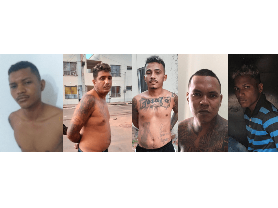 policiacivilMA's tweet photo. POLÍCIA CIVIL DEFLAGRA OPERAÇÃO RAIZ PRENDE 5 PESSOAS E CUMPRE 6 MANDADOS DE BUSCA E APREENSÃO https://t.co/kHiVRwjYHp https://t.co/5ZV1Zbw9as
