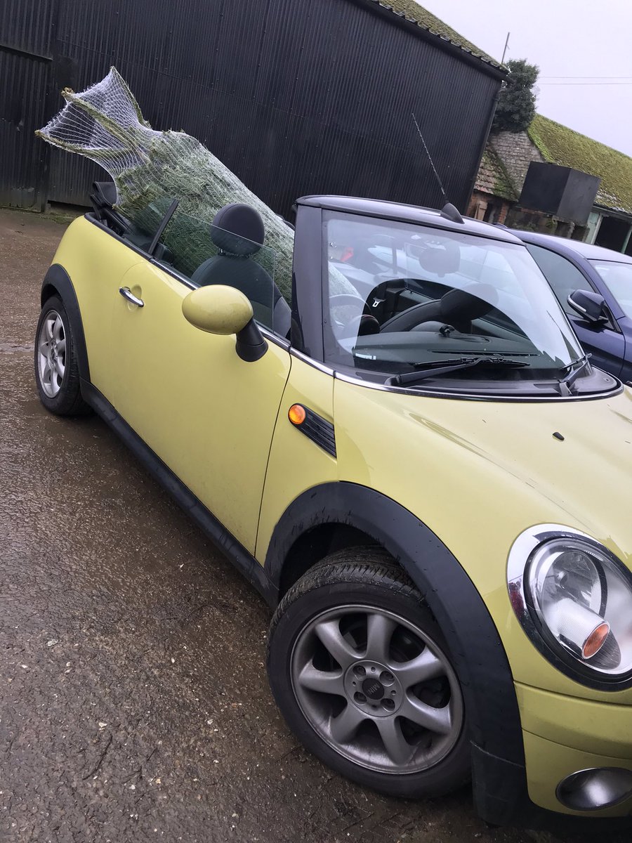 TallingtonFarm's tweet photo. Noddy has been for a fresh #tallingtonfarm Christmas Tree. Still plenty to choose from of all sizes. Weโre open every day so do come and see us. Any questions call 07715490365 #keepitreal #freshtrees #sustainablysourced https://t.co/DKRPJ8V9pK