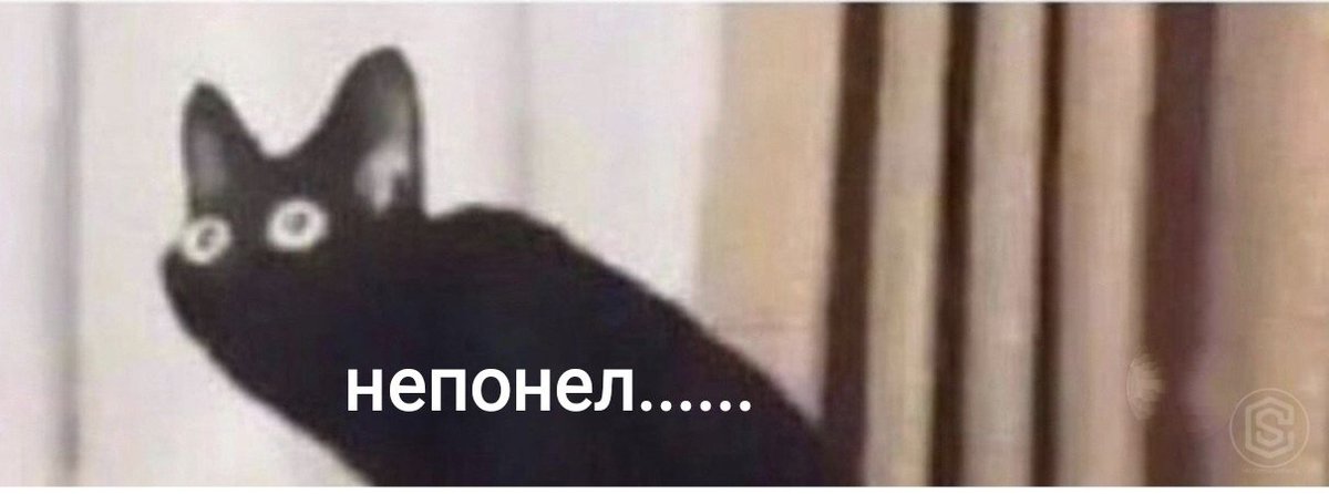 1TORTIK1's tweet photo. Я,осознаю что вот вот придет новый год ,а у меня все еще нету на него настроения.. https://t.co/oLB8lMxrea
