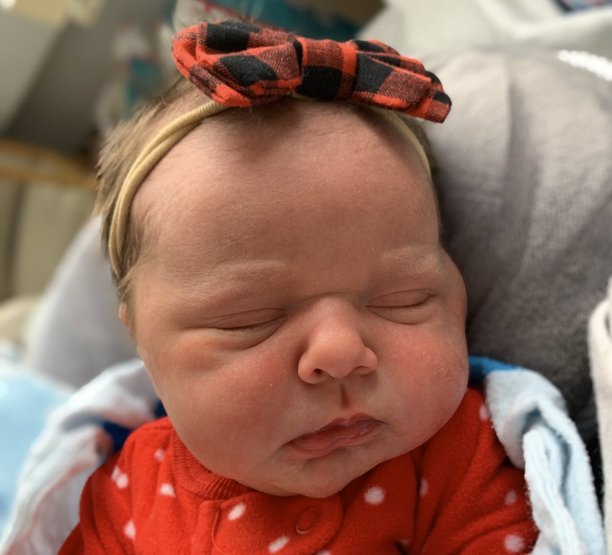 SCSDEdTech tweet media