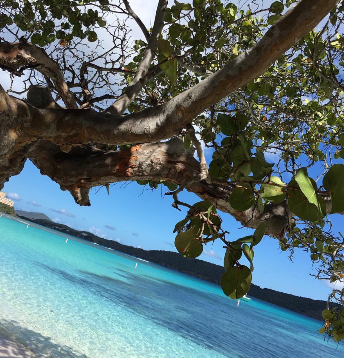 Linquist Beach St.Thomas USVI