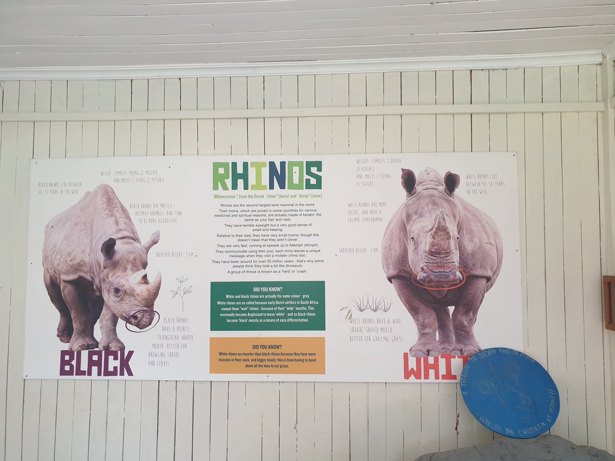 chuditchwrangla's tweet photo. Visited @OlPejeta conservancy today & just had to say they have some of the best #Interp I have encountered so far in #kenya - 'Please touch' - included the rhino!
Should also mention that they are doing some amazing #conservation work with #threatenedspecies https://t.co/mBEK50s5Sb