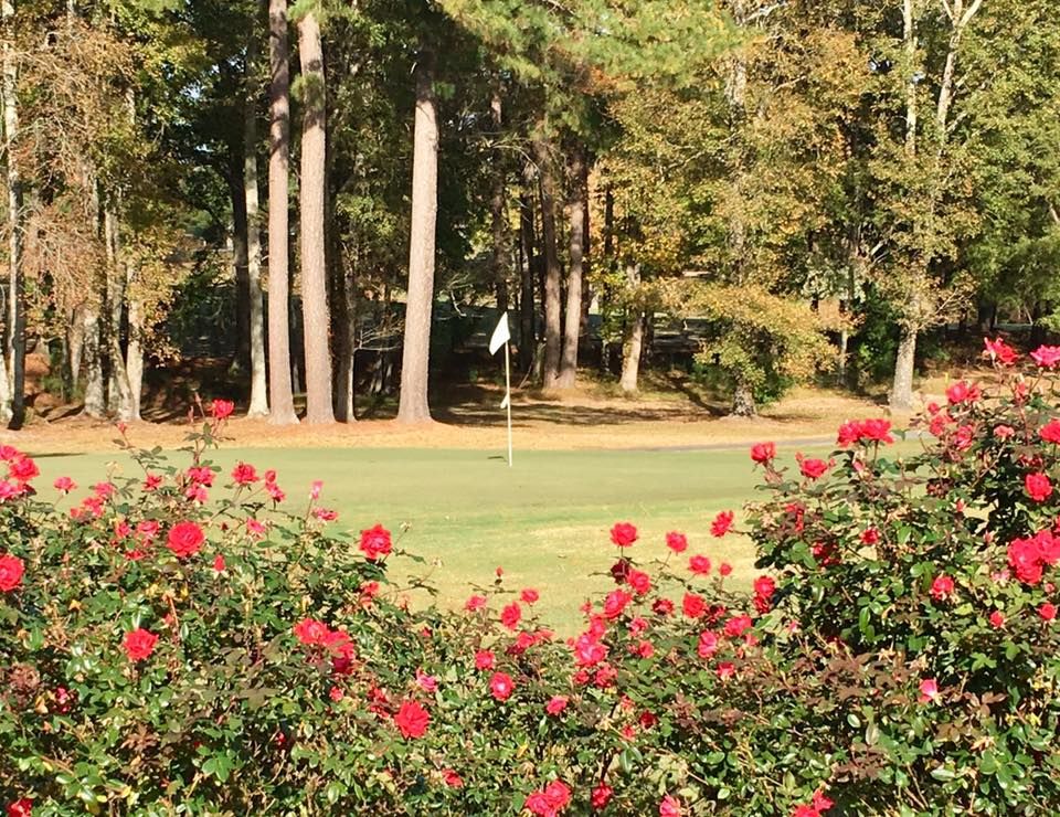 WendellCCGolf's tweet photo. Share you experience at Wendell Country Club with fellow golfers on Golf Advisor! Click the link to write a review today! https://t.co/kD3jnbyR24 #wendellcountryclub #wcc #golf https://t.co/hr577jBlXO