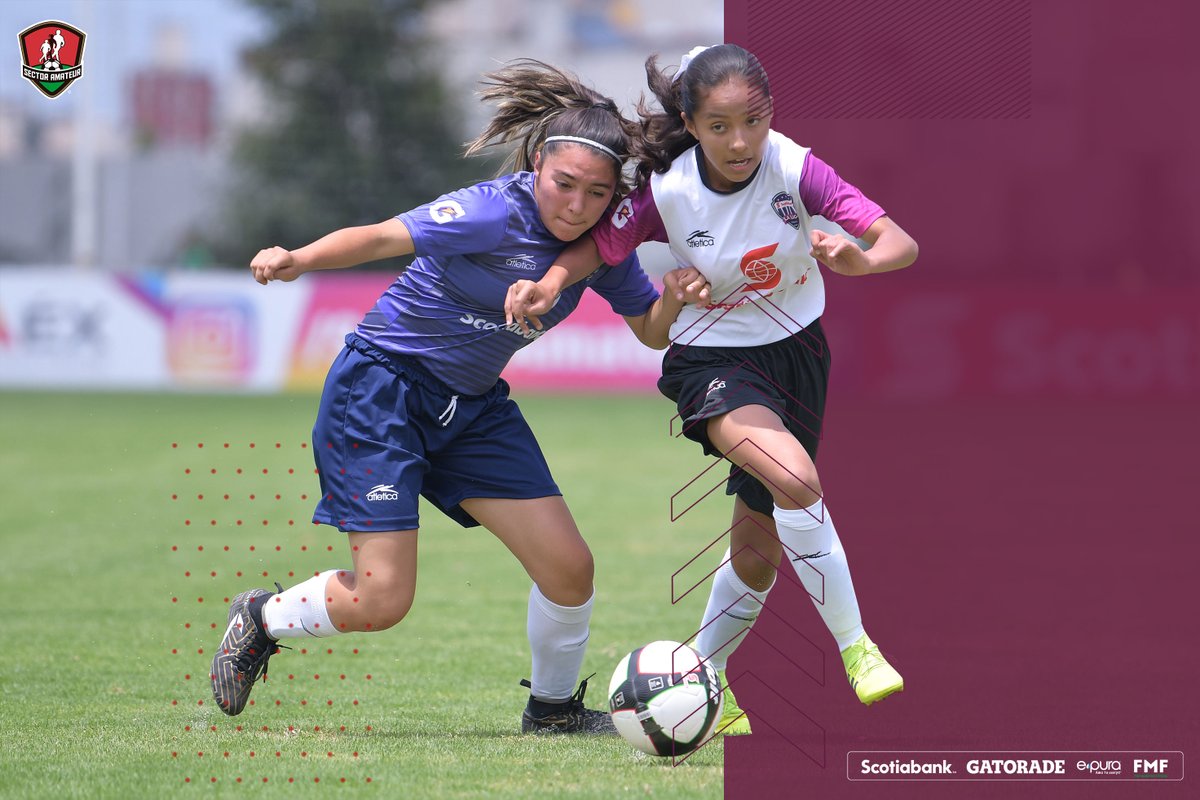 SectorAmateur's tweet photo. ☀️ | #FraseSAm | Miércoles de fut o ¿cuál es el plan? 

“Haz lo que puedas, con lo que tengas, donde estés”

#DondeNaceLaPasión #FMFPorNuestroFútbol @ScotiabankMX @ScotiabankFC @gatorademex @epura https://t.co/0OcoYNEZ1F