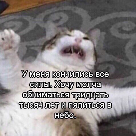 limezig's tweet image. сос тояние вот такое