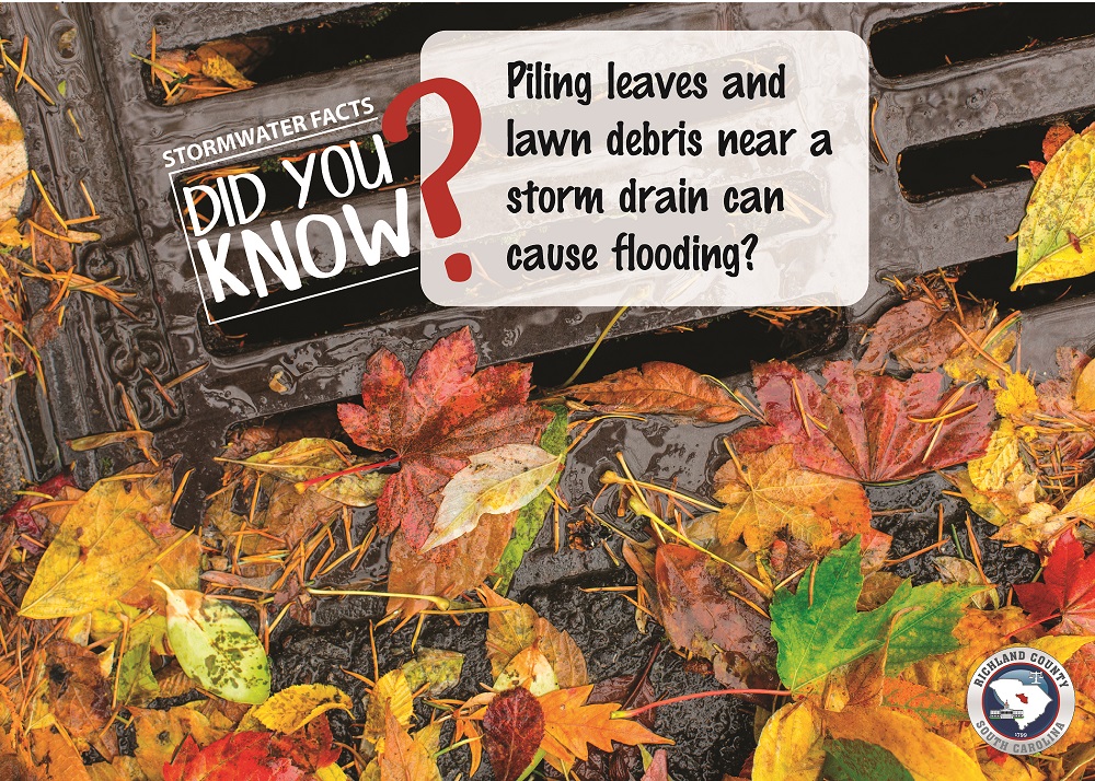 #DidYouKnow Piling leaves and lawn debris near a storm drain can cause flooding?