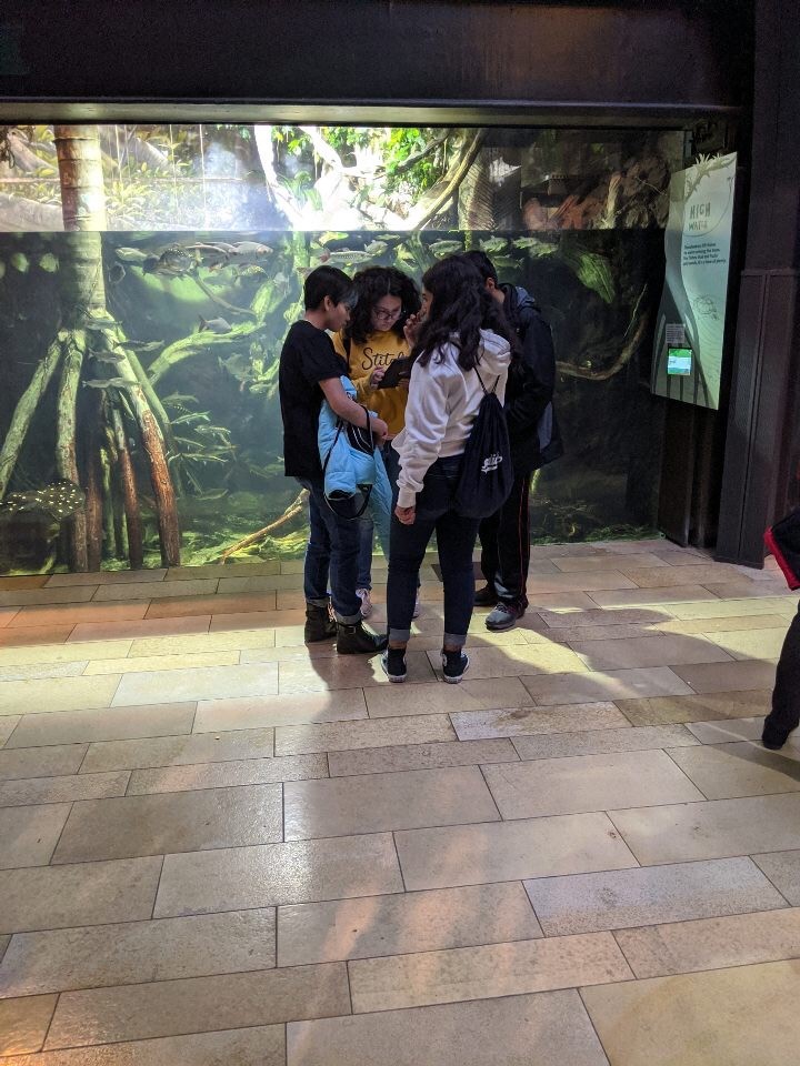 SheddLearning's tweet photo. This weekend in #SheddTeenLab, we visited the animals of the Amazon! Teens tested their animal knowledge and met with our Animal Programs team and resident Macaws.
Visit Teen Lab during Open Hours Thursdays and Saturdays! (Next Thursday we will be closed for the holidays) https://t.co/1mSnCydqLP