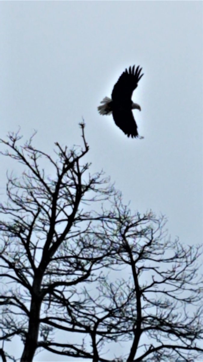 Mahoning Valley Sanitary Dist. (MVSD)/MeanderWater tweet media