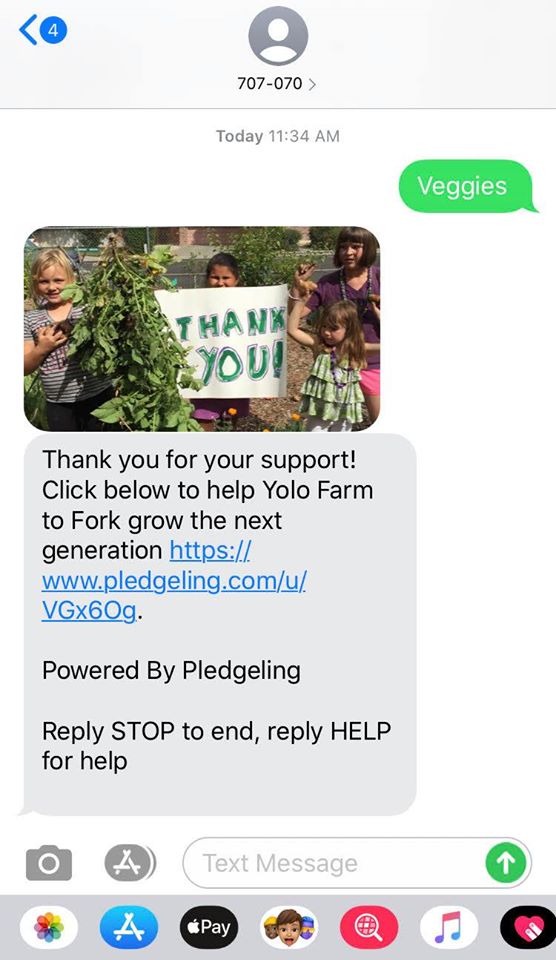 Did you know that you can “text to donate” to Yolo Farm to Fork from your phone? It’s easy! Just text the word Veggies to 707070 and you will see a message from us with a link to donate. Here are a few fun facts about texting - read more here: bit.ly/36LagDc