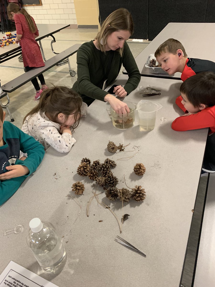 LeRoySTEM's tweet photo. Wrapping up second quarter with LES 1st Grade. We had a great afternoon building holiday items with @LEGO_Group bricks, dissecting pinecones, watching candy canes dance and determine what temperature of water hot chocolate dissolves best in! #LESSTEM https://t.co/sBIh153vQb