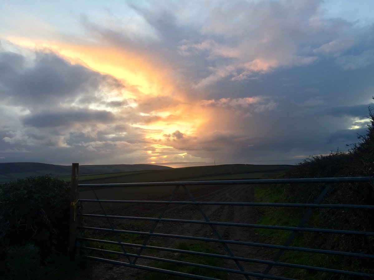 trev_toes's tweet photo. Country life by the sea #pickwell #northdevon https://t.co/z8eBhJcze2
