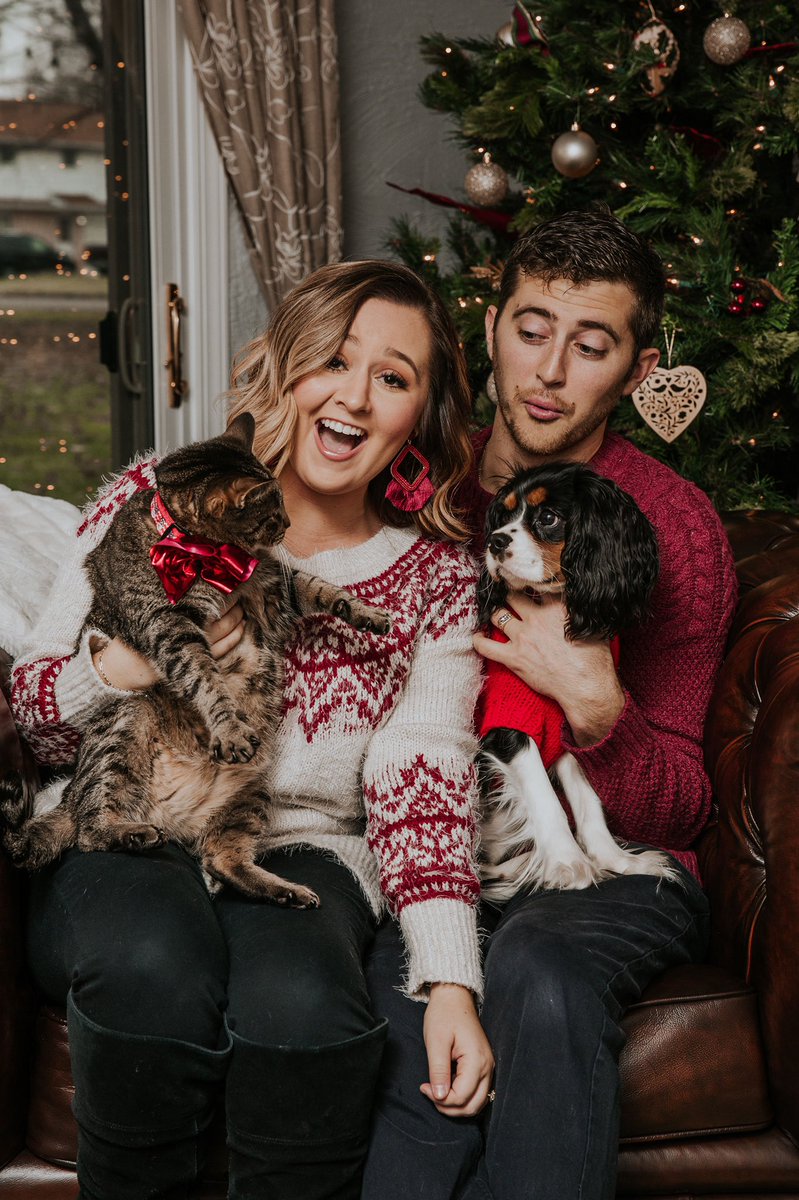 AKlingbail's tweet photo. #KlingbailChristmas2019 🎄❤️🐶🐱 https://t.co/NqdtoLMtF0
