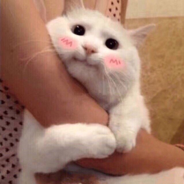 IU_9397's tweet photo. แต่ถ้ามีแฟนเค้าจะรักแฟนมากๆเลยนะ 🧸✨ https://t.co/eIk5YRkR24