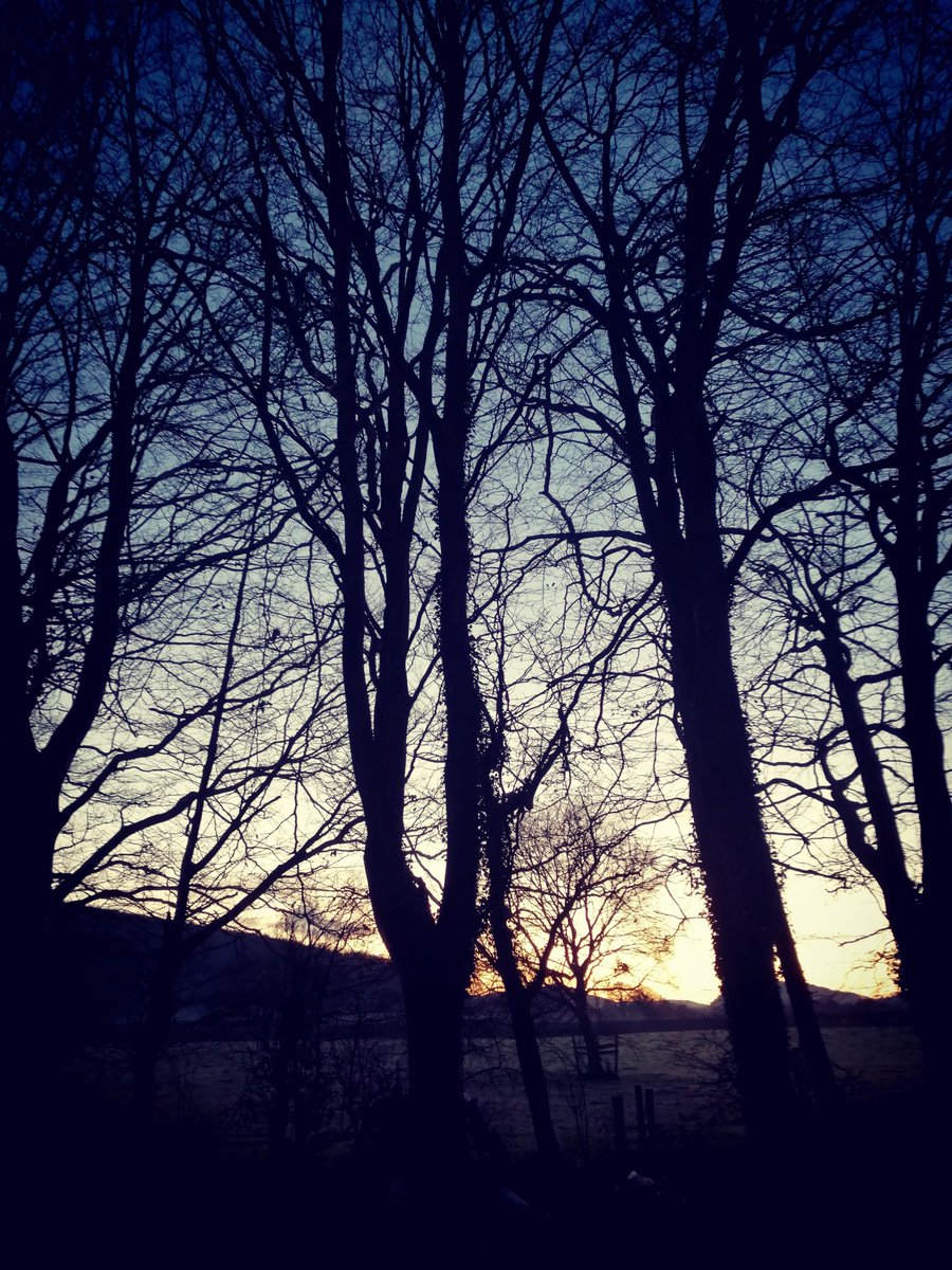 AntMottershead's tweet photo. Beech. The frost doesn't leave the valley today. The last light of the day brings wonderful silhouettes into the night #TheRodd https://t.co/iEzau3Z8ob