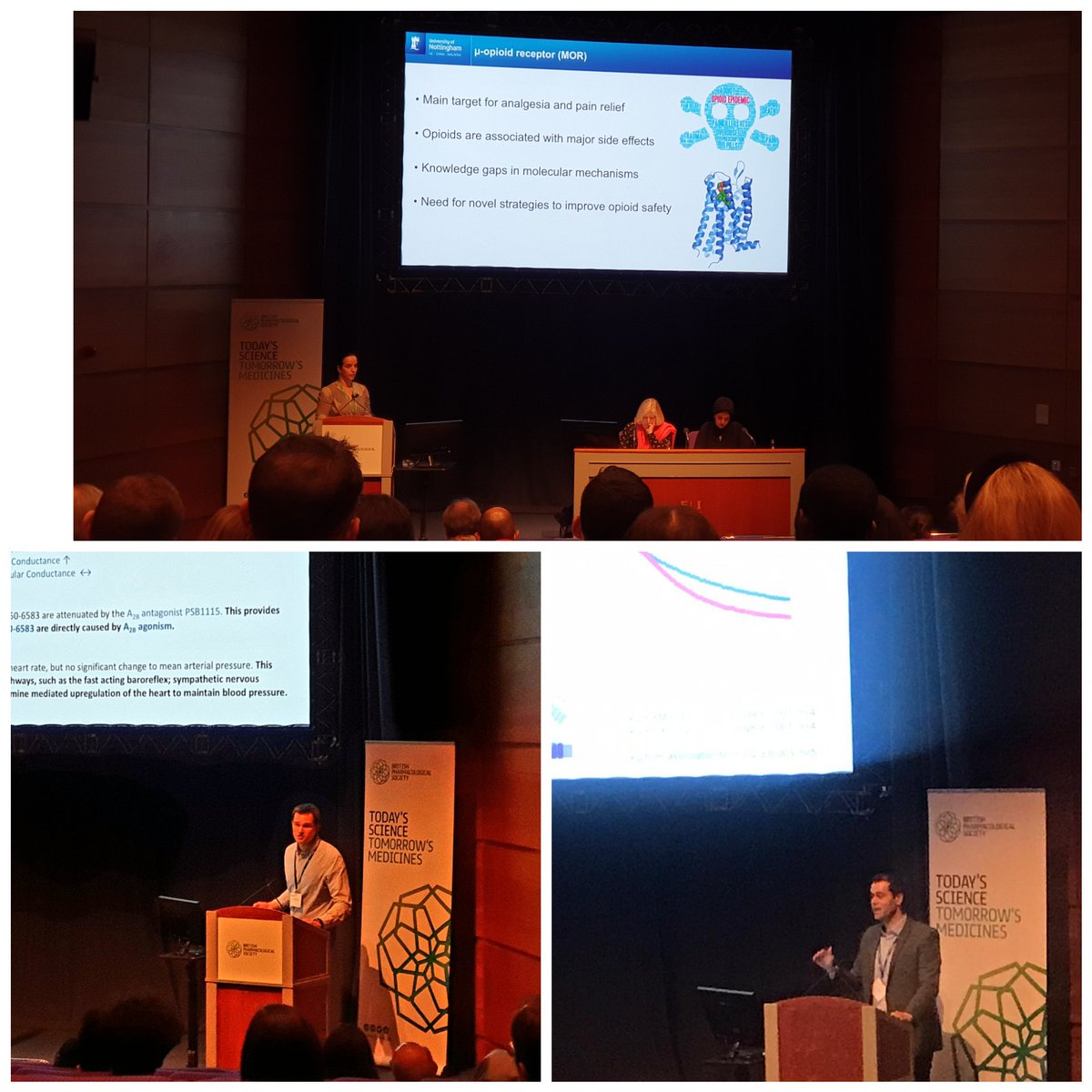 Mark Soave tweet media