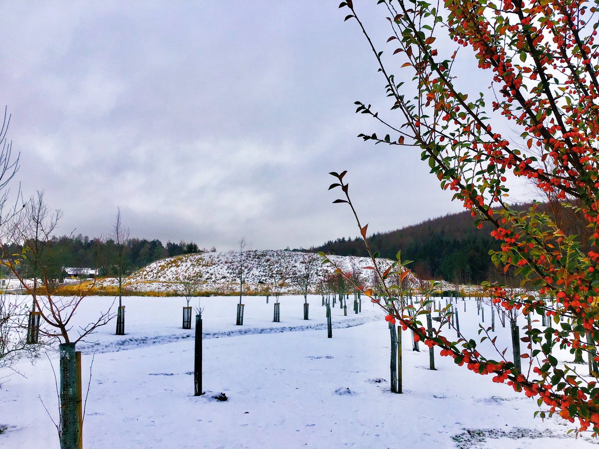 TheMackWalks's tweet photo. Today, Strathdon💙 #walking #hiking #Strathdon #UpperDonside #Aberdeenshire #visitABDN https://t.co/xfrvYBIpEL