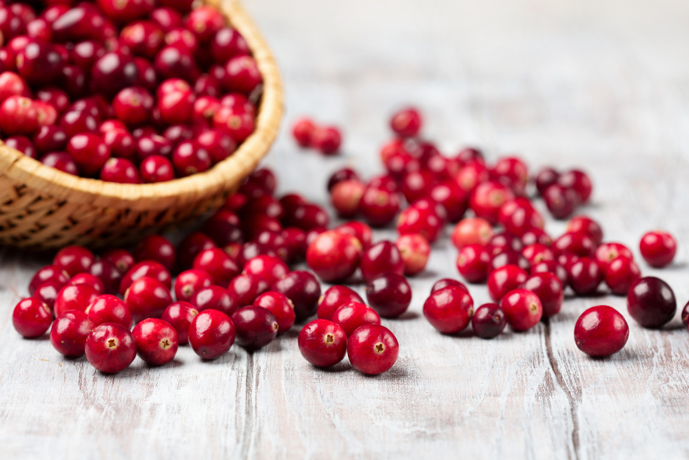 BethFratesMD's tweet photo. Cranberries are a favorite for the Holidays. Turns out, they're good for you too. They contain Vitamins A, B, C, E+K as well as minerals like potassium, magnesium+calcium. They may help ⬇️blood pressure+BMI but ⬆️HDL (good cholesterol). #Health #diet
https://t.co/gsPu3xmzUa https://t.co/FL8PoNGrmP