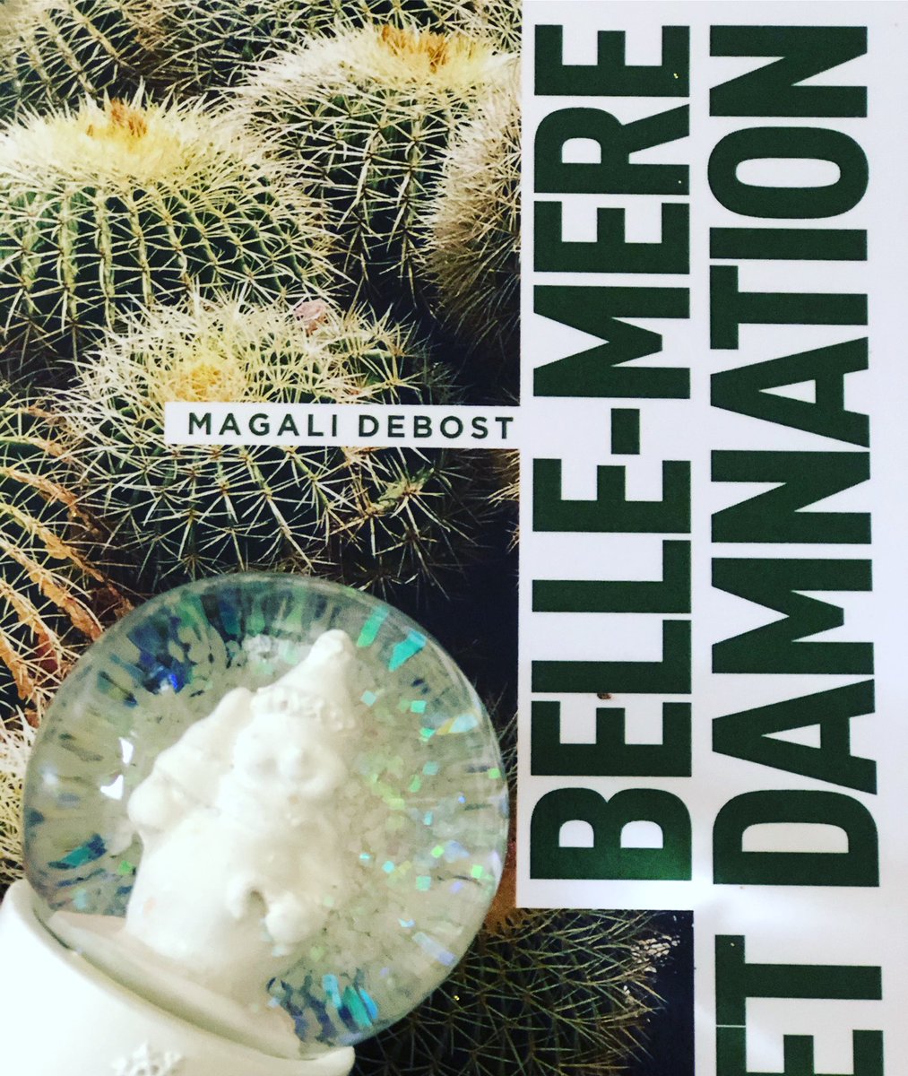 Pas d’idée de cadeau pour Belle-maman ? Ne cherchez pas, c’est écrit du point de vue d’une belle-mère, elle va aimer ... 😊 #bellemèreetdamnation #cadeau #souslesapin #noël2019