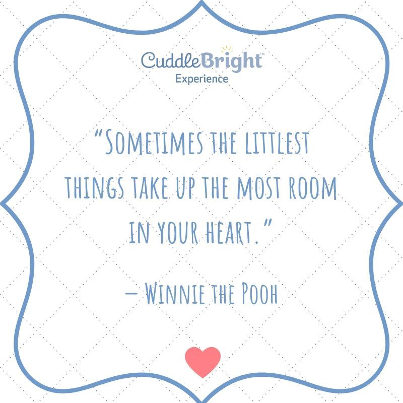 CuddleBright's tweet photo. "Sometimes the littlest things take up the most room in your heart." - Winnie the Pooh 💙 #CuddleBright #parenting #parentingquotes #wordstoliveby #inspiringquotes #quoteoftheday #itsthelittlethings #parentlife #newparents #winniethepooh #bondingwithbaby #CuddleBrightExperience https://t.co/55XphsbKGz