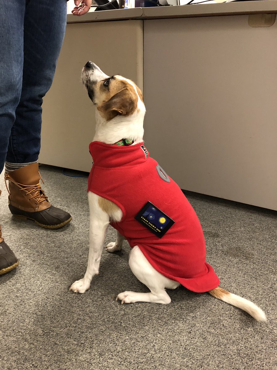 Pro_Portsmouth's tweet photo. “Ellie here! We need First Night Volunteers! Don’t make me beg!”
https://t.co/bLkbT4hH2D #portsmouthnh #firstnightportsmouth https://t.co/BBUSaSHVrg