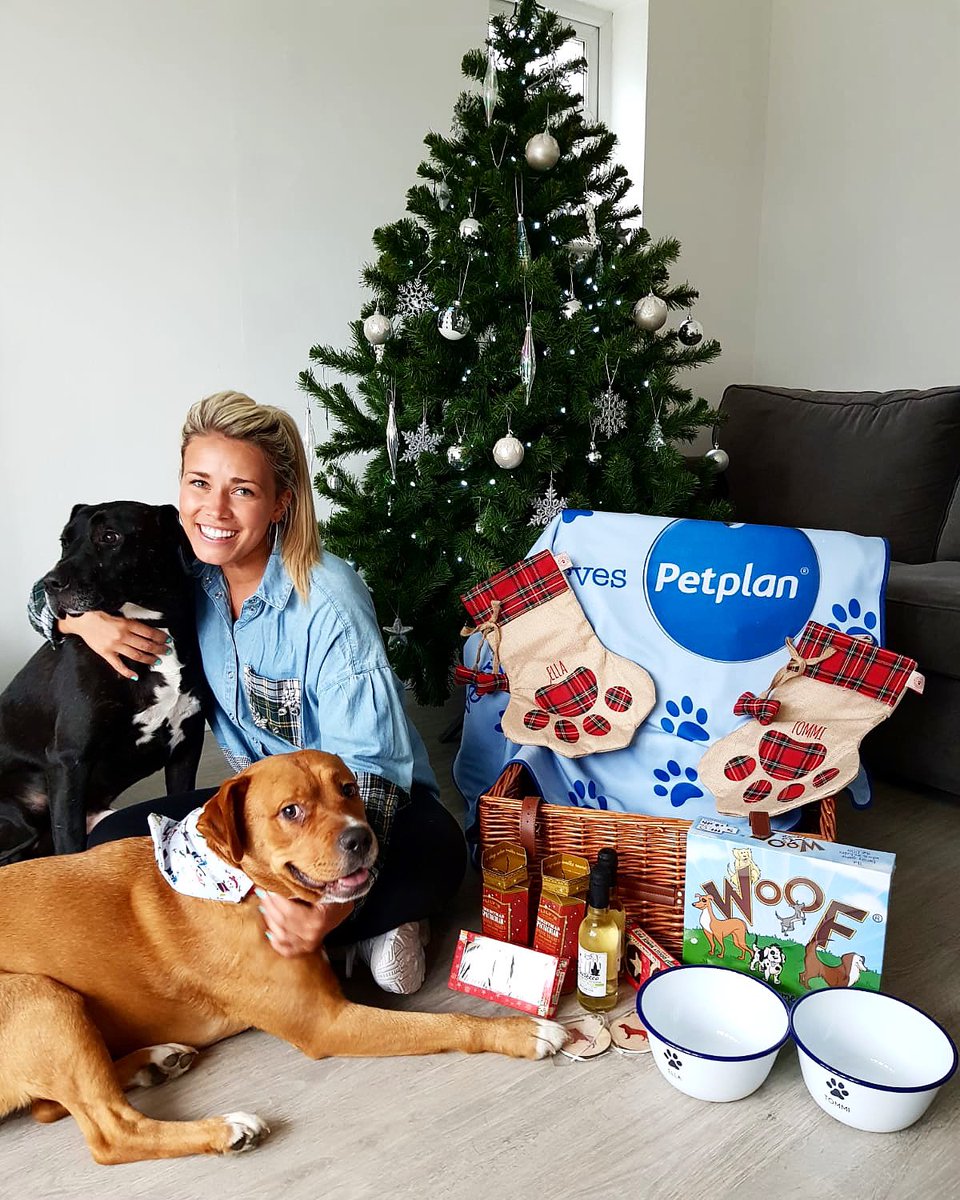 The countdown to Christmas is on & I cant wait to spend my Christmas with these beauties, my little family. @PetplanUK are making things even more exciting with their advent calendar giving away lots of goodies for your pets so check out the link in my bio 🐶 #ad #PetPlanAdvent