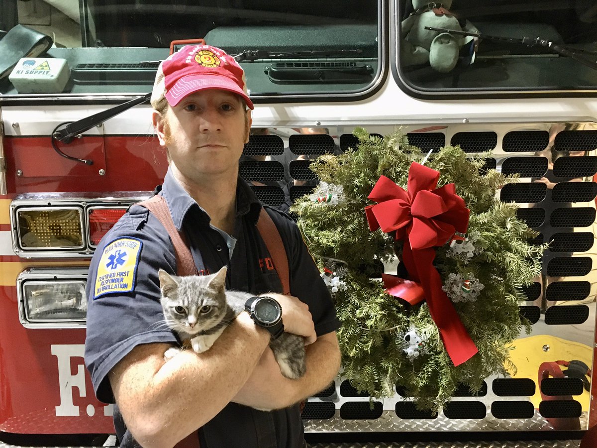 FDNY's tweet photo. We got a call for a cat that was stuck in a car. I knew right when I pulled him out that I wanted to adopt him- #FDNY Firefighter Daniel Wiwczar, #Ladder2, who rescued a cat that was stuck in a car in Manhattan early last month. Read more: https://t.co/SzsXHpZqFA https://t.co/i2Zl5ImxBE