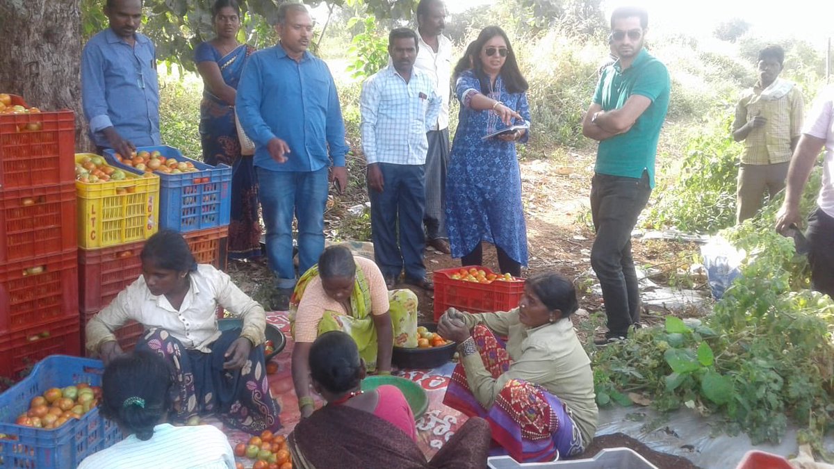 sonalchoudhary1's tweet photo. What an insightful day! Loads to learn on multi-stakeholder challenges: different interventions needed for #sustainablevaluechain #datadriven #sustainablelivelihood #agrifood #foodloss #foodwaste #connectingfarmerstosupplychain @WorldFoodSystem @STFC_Matters @UoS_Management https://t.co/vpIzMwe4hR