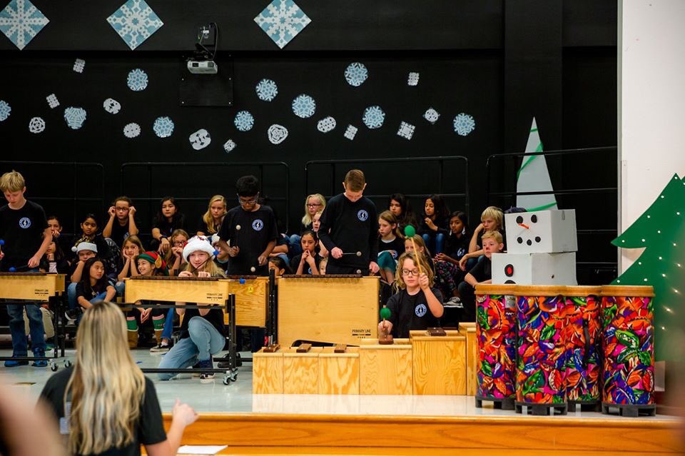 BPEMakesMusic's tweet photo. Encore performs! We performed for residents at @PoetswalkSH and today @RidgeviewMS choir and orchestra programs. @rrisdfinearts @BPECatTech @BlacklandPTA https://t.co/rLulIfHikb
