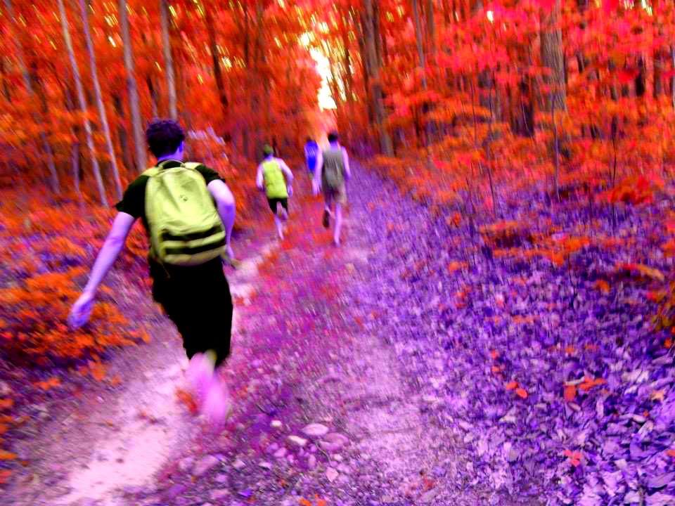 * This Week at Castleburg Brewery * - mailchi.mp/cd99d8d1696b/k…