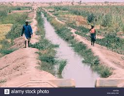 faystandard's tweet photo. #ZeroHungerChatKE #SDG2
Boosting irrigation investments also benefits small landholders and is an important solution to addressing Africa’s development deficits https://t.co/e1fRbMecps