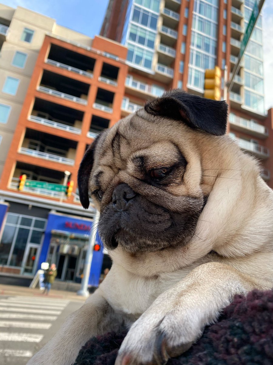 Me thinking about all the cookies I ate last night