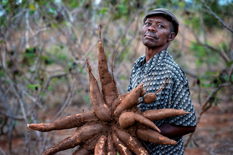faystandard's tweet photo. #ZeroHungerChatKE #SDG2
native food crops, plant species that are little used, or which were grown traditionally but have fallen into disuse, can help alleviate hunger and malnutrition in afflicted populations. https://t.co/wNfRBW3Cba