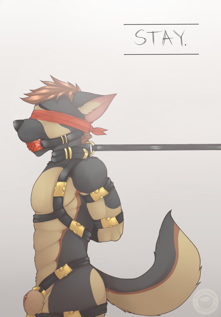 YiffCrazy on X: Stay - BDSM By SpazzyHusky. Featuring DivePup.  t.coTJqeiFYuSs gay furry yiff porn t.coICkq7N3v8z  X