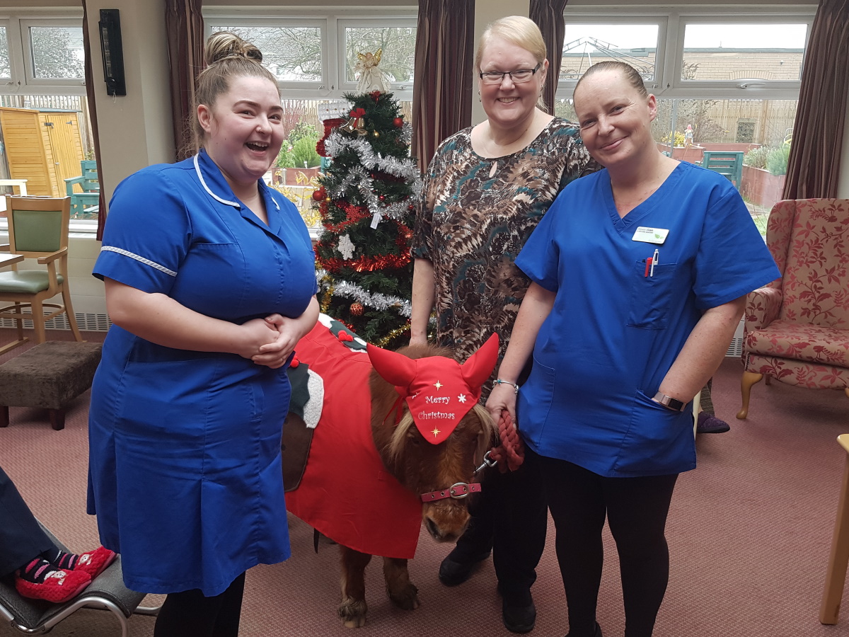 Carehomesuk's tweet photo. The Christmas Ponies from Lollipop Pony Parties have trotted on down to The Place Up Hanley today🐴🎄🐴

Dressed up in their festive outfits, they met with all the residents, family and staff 😄

#PetTherapy #AnimalTherapy #MeaningfulActivities #Dementia #Xmas https://t.co/rqZsPhOFUz