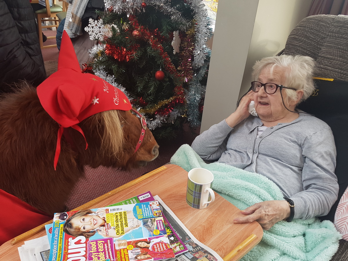 Carehomesuk's tweet photo. The Christmas Ponies from Lollipop Pony Parties have trotted on down to The Place Up Hanley today🐴🎄🐴

Dressed up in their festive outfits, they met with all the residents, family and staff 😄

#PetTherapy #AnimalTherapy #MeaningfulActivities #Dementia #Xmas https://t.co/rqZsPhOFUz