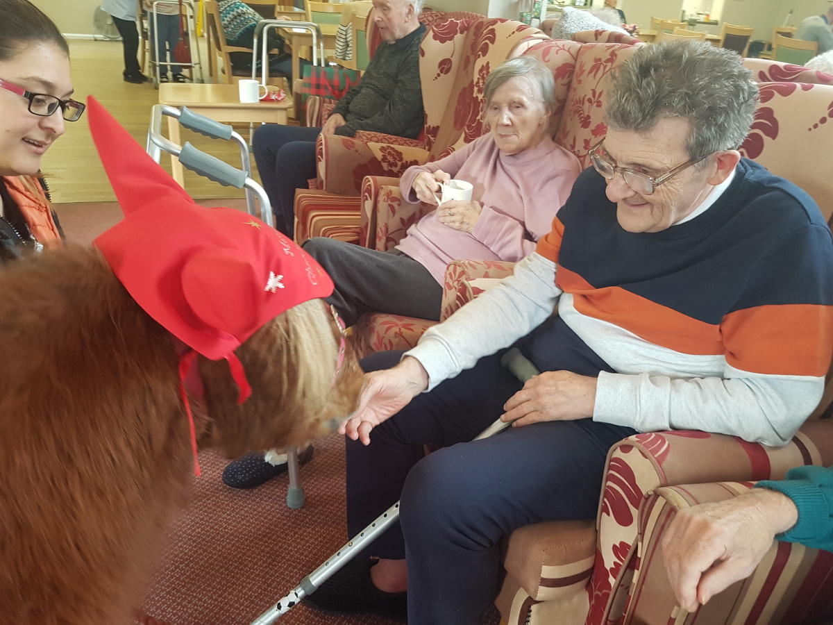 Carehomesuk's tweet photo. The Christmas Ponies from Lollipop Pony Parties have trotted on down to The Place Up Hanley today🐴🎄🐴

Dressed up in their festive outfits, they met with all the residents, family and staff 😄

#PetTherapy #AnimalTherapy #MeaningfulActivities #Dementia #Xmas https://t.co/rqZsPhOFUz