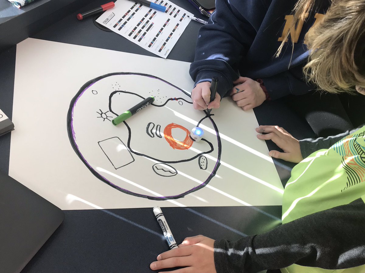 CoachJodiP's tweet photo. Co-teaching 7th grade science with Arin Casavant! Plant and animal cell review with ozobots and cookies! #learnbps https://t.co/XX4i1pFli2