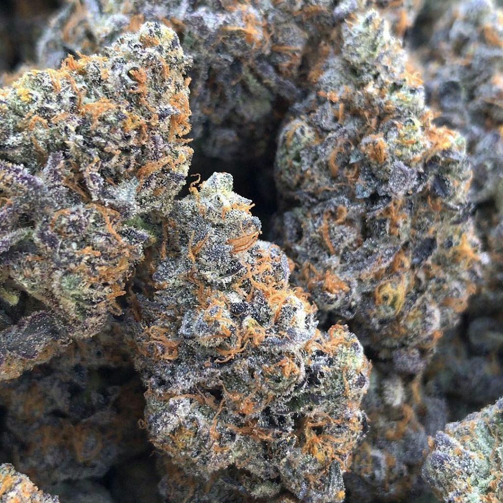 kingweedfr's tweet photo. Whatsap uniquement +33 6 44 69 69 52
📲wickr /kingweedfr  #parisweed #franceweed #france #weedparis #joint #weed #weedfrance #paris #weedinfrance #parisweeding #cannabis #hightimes #marijuanafrance #franceweedsmokers #hotelparis #tourismeparis #buyweednow #toureiffelparis https://t.co/kwkactHRJH