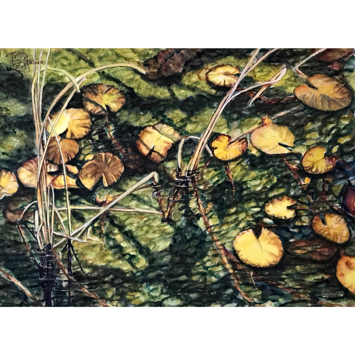 PeterGutmanis's tweet photo. New work: “Autumn Lily Pads”
*
*
*
#painting #watercolour #art #flora #newwork #nature #petergutmaniswatercolour #pnw #beautifulbc #westcoast #vancouverisland #watercolor #canadianart #fromthestudio #nanaimo #lilypads #autumn #plants #fall https://t.co/B3jgTQZoaR