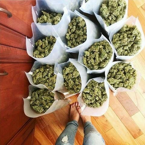kingweedfr's tweet photo. Whatsap uniquement //+33 6 44 69 69 52
Wickr//kingweedfr  #francecannabis #cannabis #weed #beuh #thc #frenchstoner #fumeur #bedaveur #defonce #bicrave #fufu #joint #blunt #420 #beuz #herbe #instaweed #instacannabis #puffpuffpass #frannabis #weedfrance #weedstagram #I #mdrr https://t.co/FLSKoI1a5s