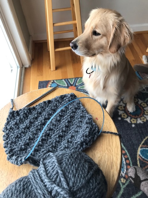 shanamacGoPack's tweet photo. Super Speedy Scarf for a Son https://t.co/yhiaZEDePH https://t.co/RcfztKXVD3