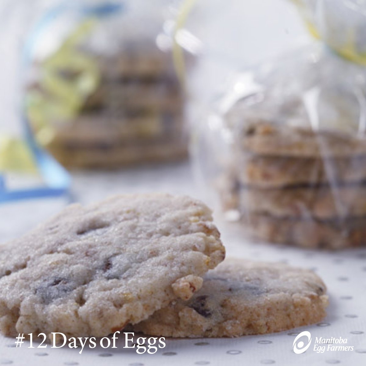 eggsmanitoba's tweet photo. #12DaysofEggs Just 8 days left until Christmas! What is your favourite recipe you’ve made so far? Let us know in the comments below! 👍👍 Today we’re sharing our special Viennese cookies. Get the recipe on our website: https://t.co/Oq0UFxs9To https://t.co/yvP0bLCplb
