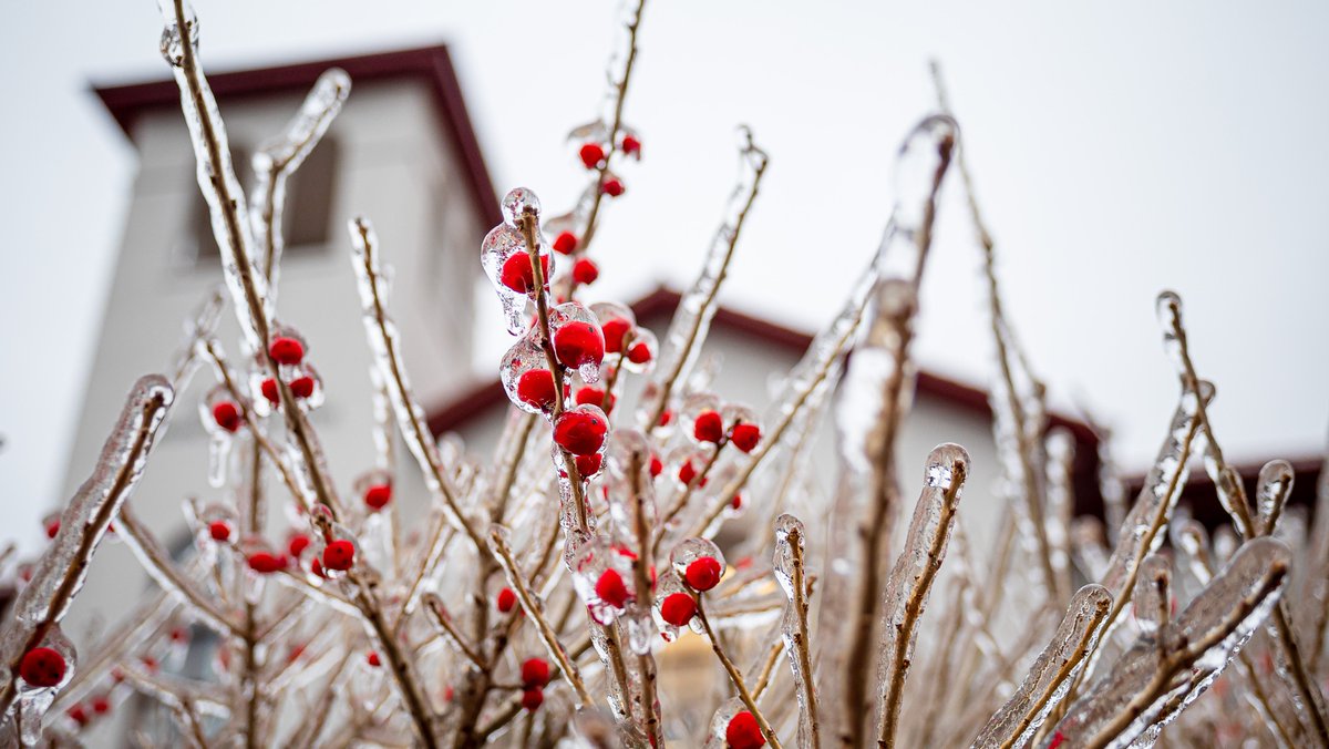 montclairstateu's tweet photo. Campus beauty is quite literally frozen in place today❄️ Stay safe and warm, Red Hawks! https://t.co/t0grXcQ5EI