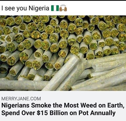 SmokeNation3's tweet photo. #legalizemarijuana
#kushqween
#smoke Nation
#highalldaylong
#weeddon'tgiveafuck
#weedlovers#cannabissweet
#cannabiscommunity
#420stoner#wizweedfarm
#710girls#khalifakuhs
#kushweedlife#420girls
#smokeweedeveryday
#weedvibz#weedporn
#weedisnotafuckingdrug
#ligalizemarijuana https://t.co/jkJbqTephD